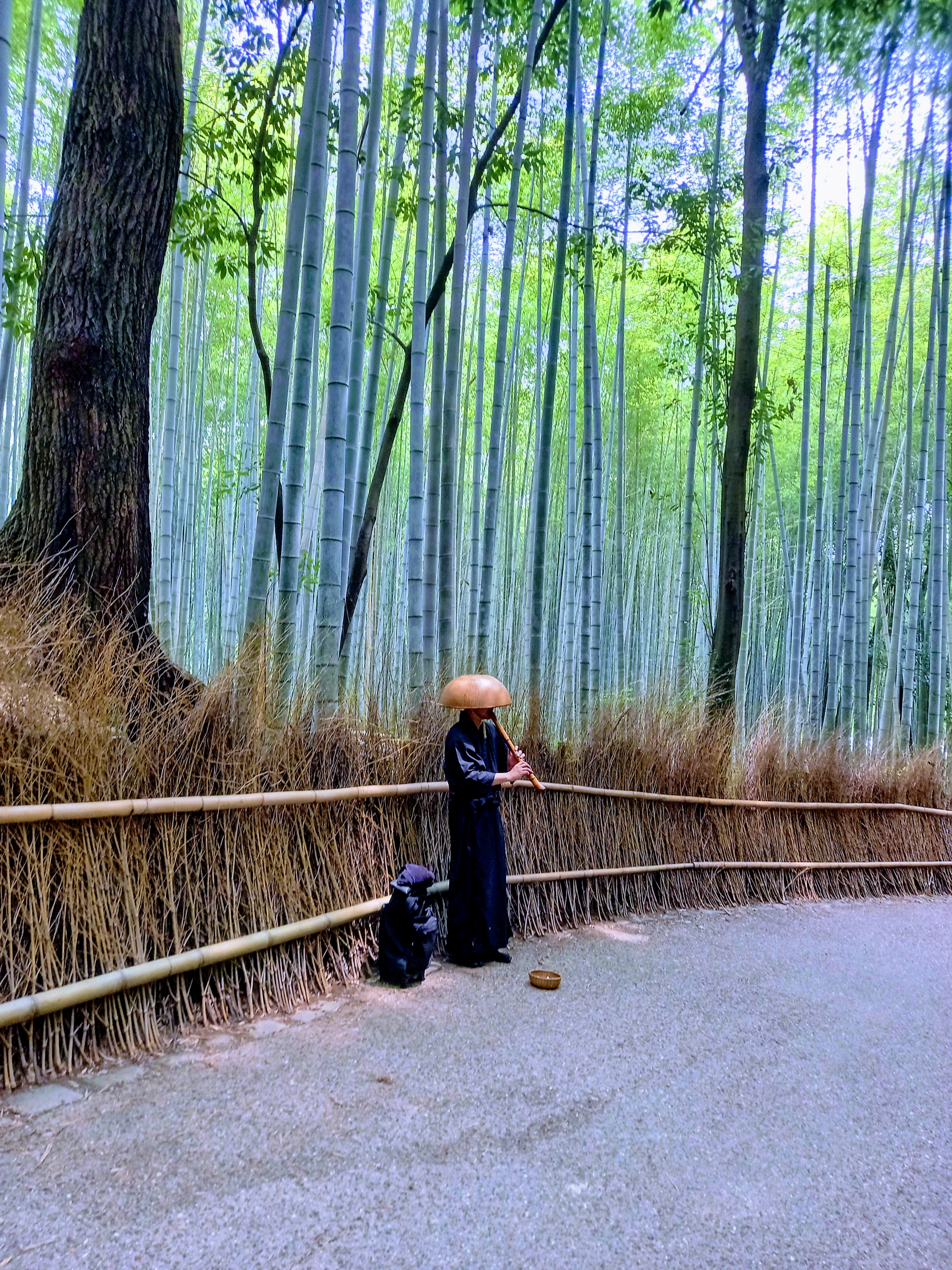 Arashiyama bamboo grove path